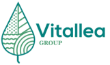 Vitallea Group